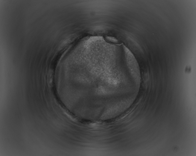 X0000091360232200708311511