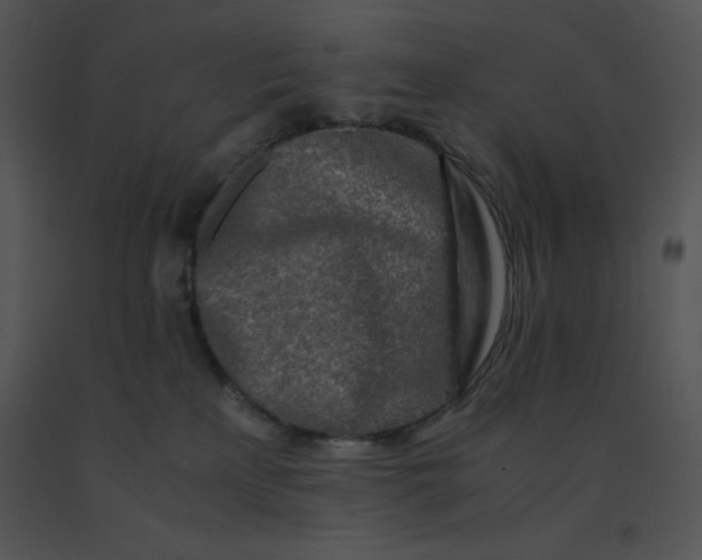 X0000091360233200708311511