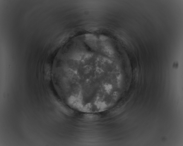 X0000091360234200708311511
