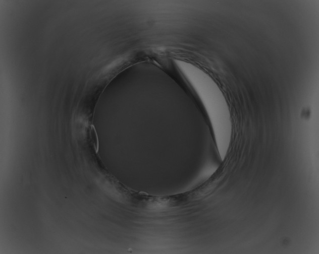 X0000091360235200708311511