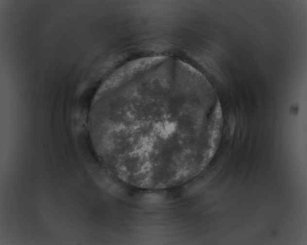 X0000091360236200708311511