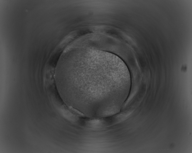 X0000091360237200708311511
