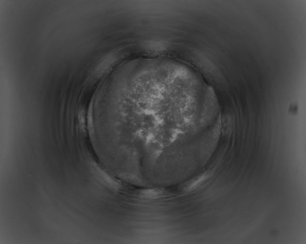 X0000091360238200708311511