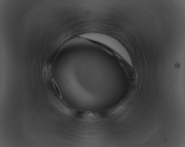 X0000091360239200708311511