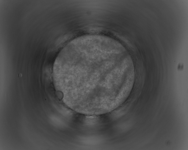 X0000091360240200708311511