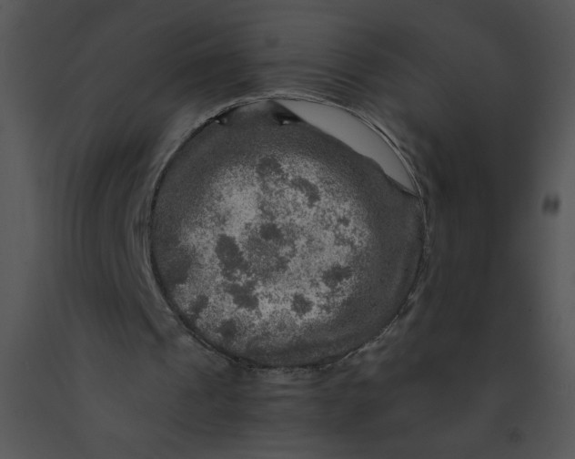 X0000091360241200708311510