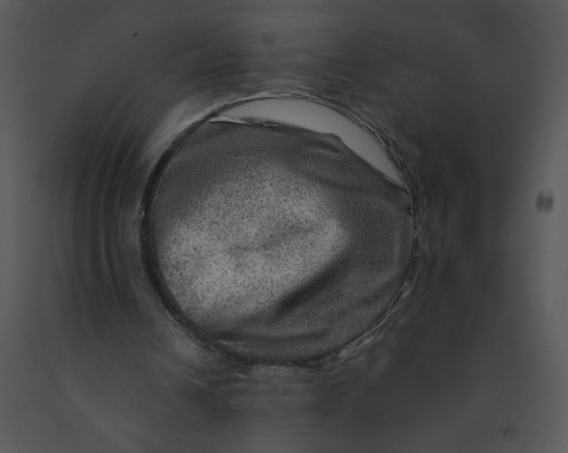 X0000091360242200708311510