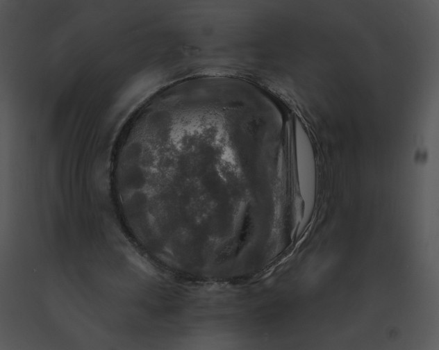 X0000091360243200708311510