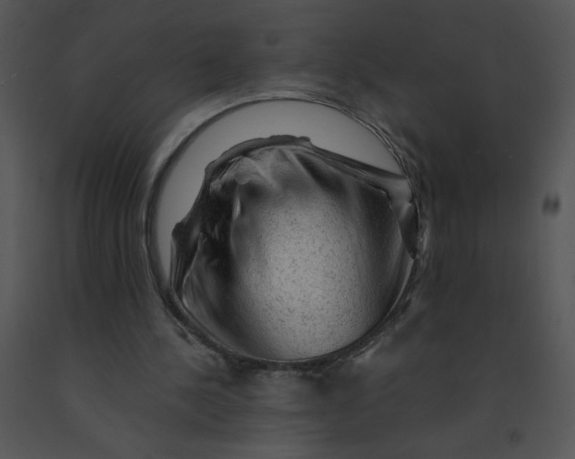 X0000091360244200708311510