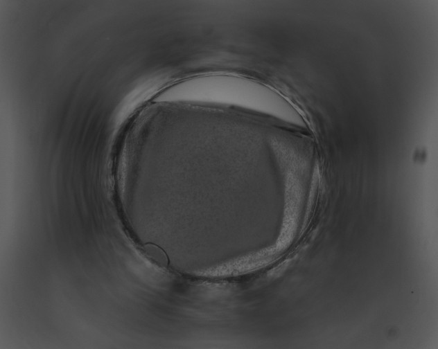 X0000091360245200708311510