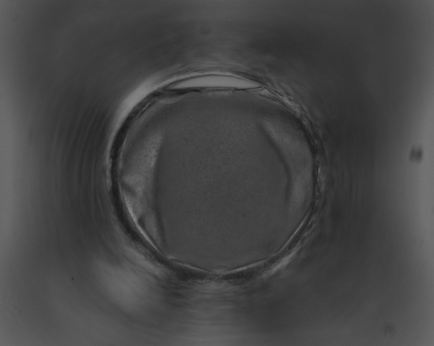X0000091360246200708311510