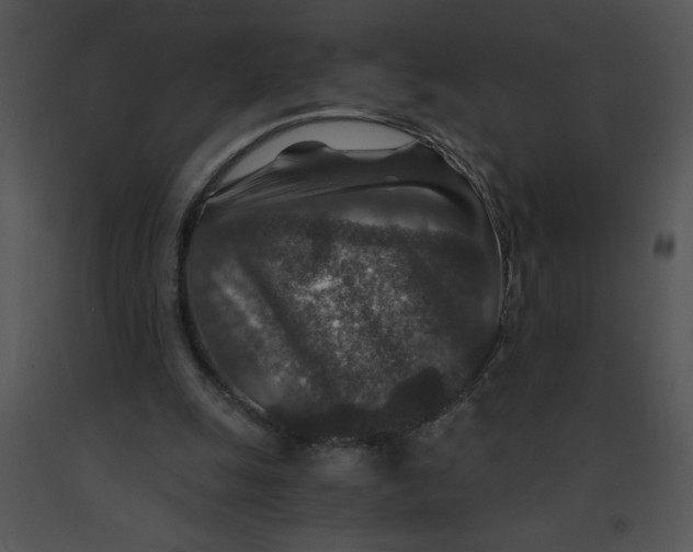 X0000091360247200708311510