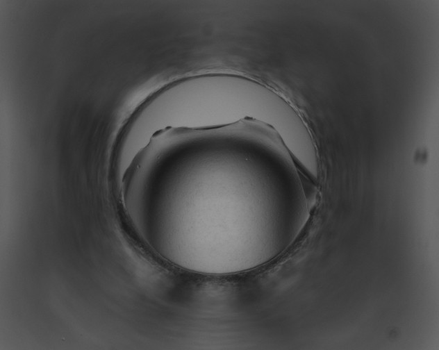 X0000091360248200708311510
