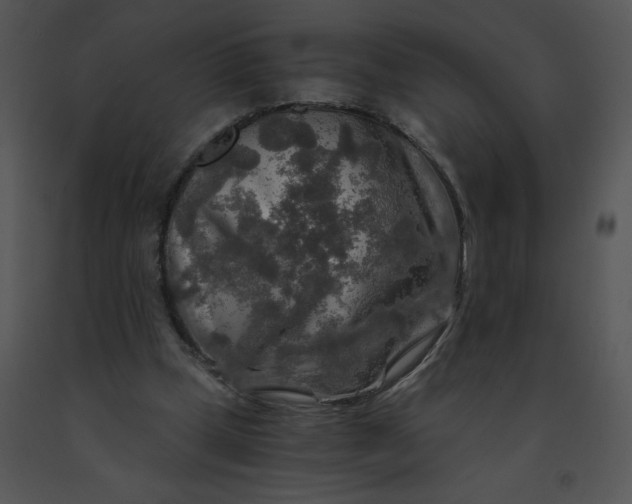 X0000091360249200708311510