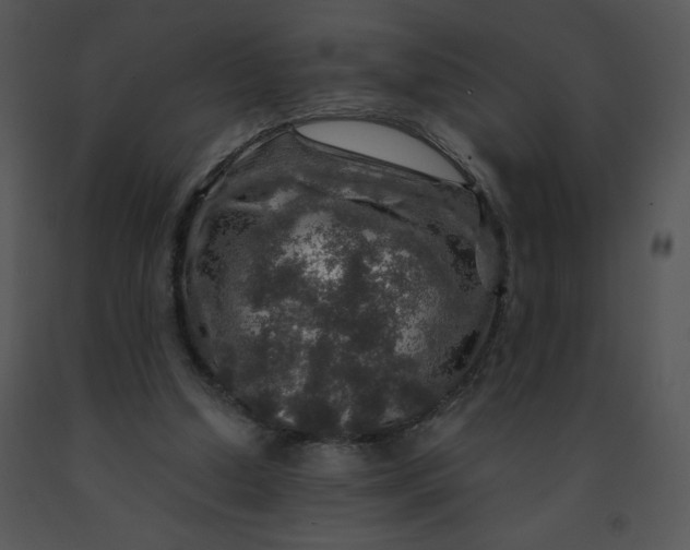 X0000091360250200708311510