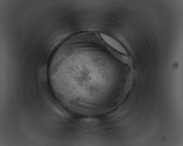 X0000091360251200708311510