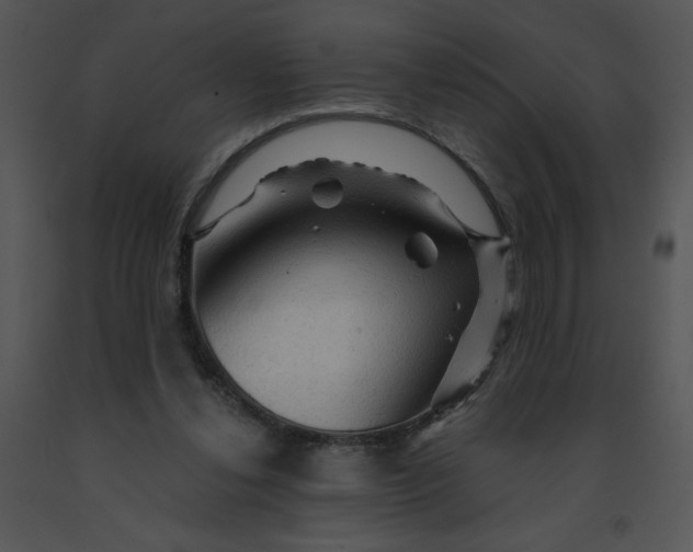 X0000091360252200708311510