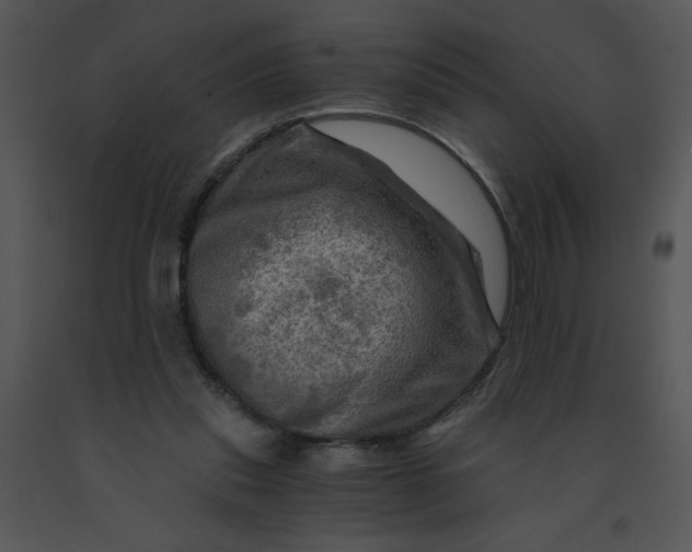 X0000091360253200708311510