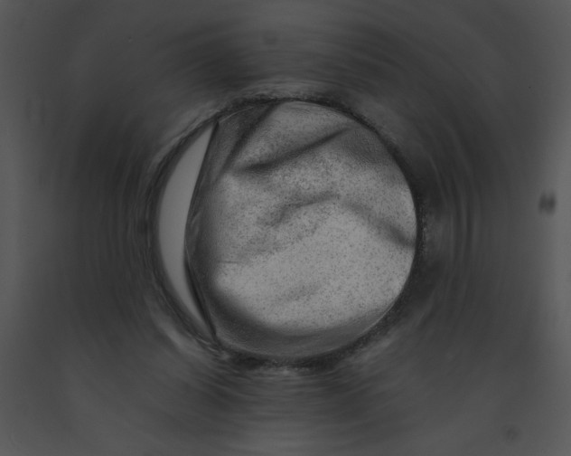 X0000091360254200708311510