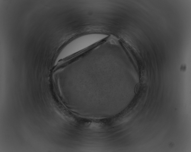 X0000091360255200708311510