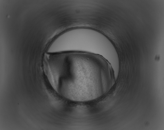 X0000091360256200708311510