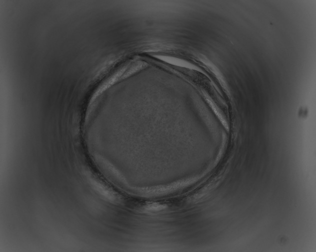 X0000091360257200708311511