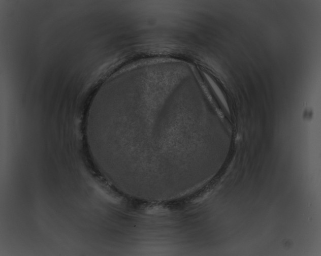 X0000091360258200708311511