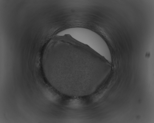 X0000091360259200708311511