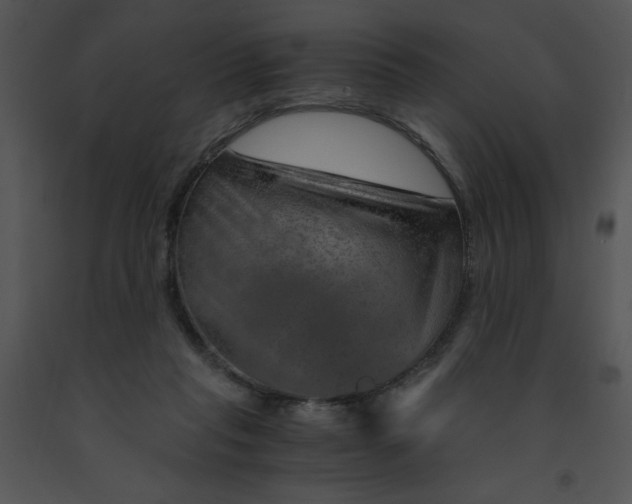X0000091360261200708311511