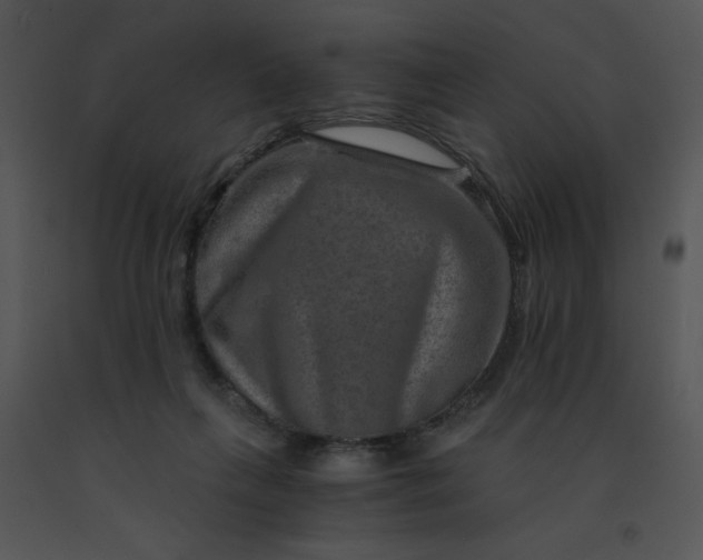 X0000091360263200708311511