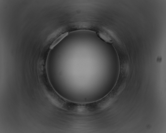 X0000091360264200708311511
