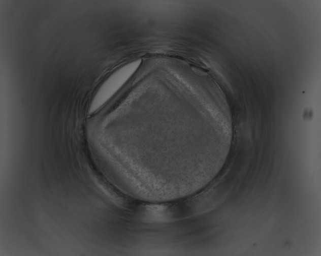 X0000091360265200708311511