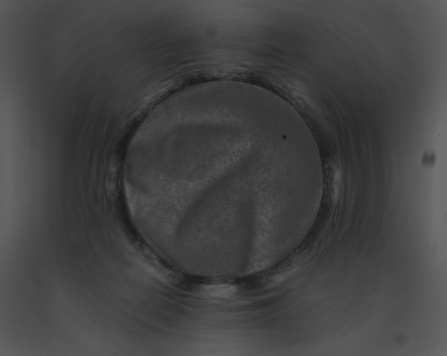 X0000091360266200708311511