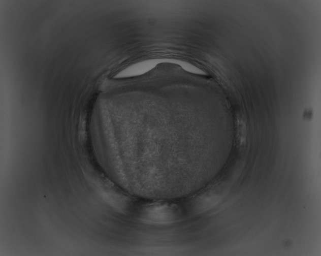 X0000091360267200708311511