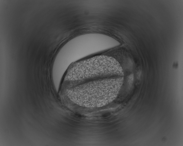 X0000091360268200708311511