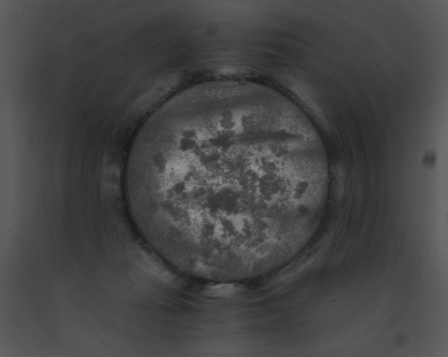 X0000091360269200708311511