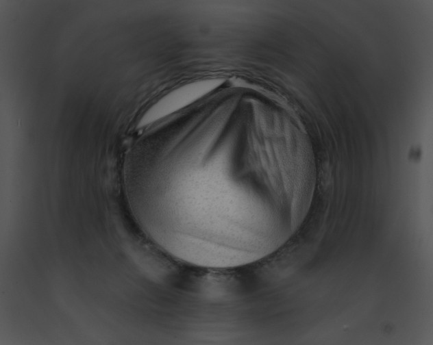 X0000091360270200708311511