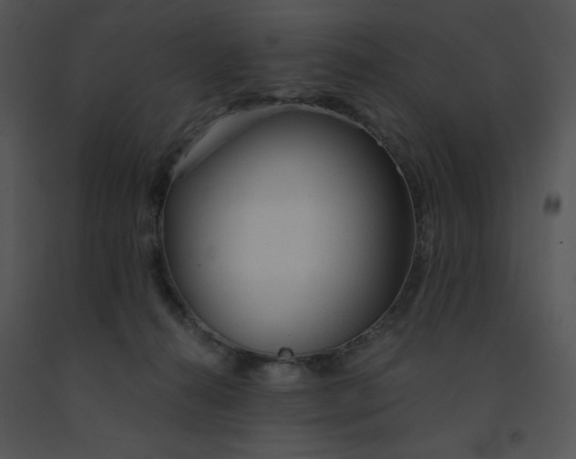 X0000091360272200708311511