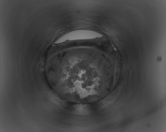X0000091360273200708311511
