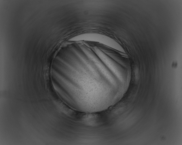 X0000091360274200708311511