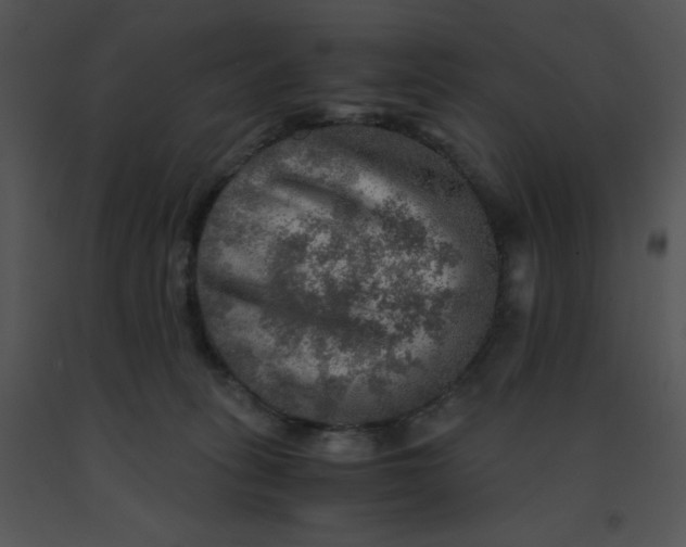 X0000091360275200708311511