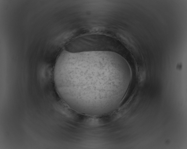 X0000091360276200708311511