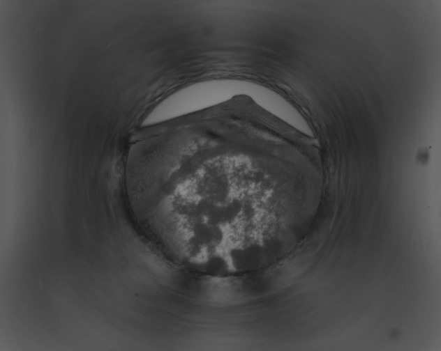 X0000091360277200708311511