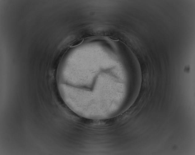 X0000091360278200708311511