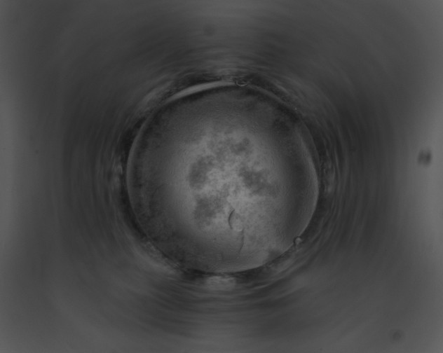 X0000091360279200708311511