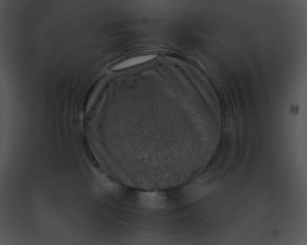 X0000091360281200708311511