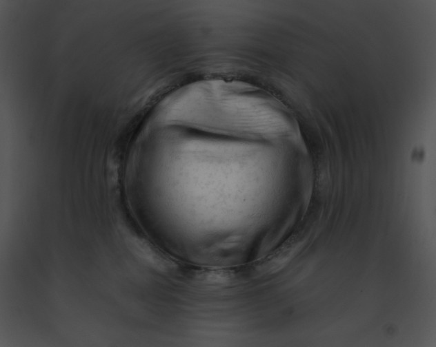 X0000091360282200708311511