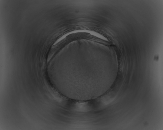 X0000091360283200708311511