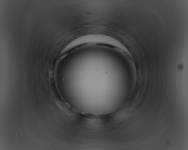 X0000091360284200708311511