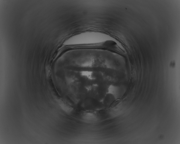 X0000091360285200708311511